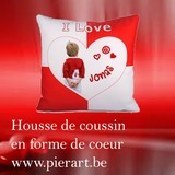housse coussin
